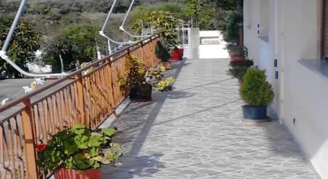 Guest House Arkela