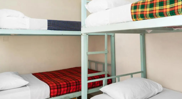 Letto in camerata Bushpig Backpackers