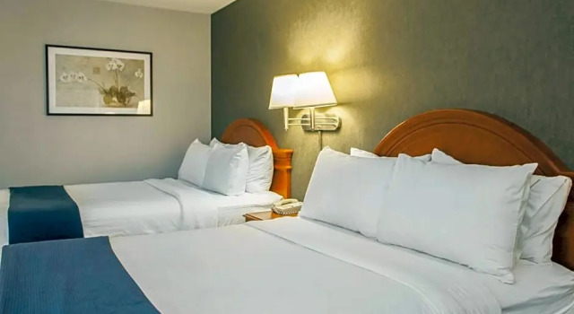 Четырёхместный люкс Quality Inn & Suites St Charles -West Chicago