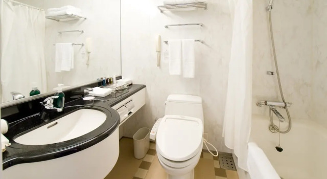 Двухместный номер Standard с видом на горы ANA Crowne Plaza Toyama by IHG