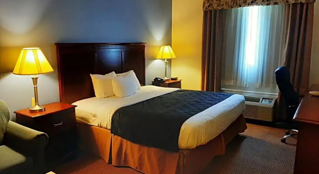 Standard- værelse The Regal Hotel