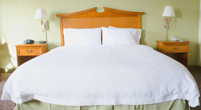 Двухместная студия Hampton Inn & Suites College Station