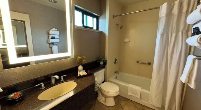 Номер Comfort Adelaide Inn
