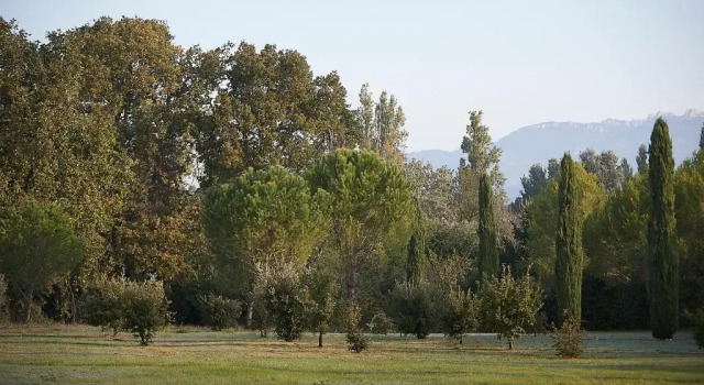 Mas des Songes, Rezerwuj Hotel Hotele w Vaucluse z basenem, Basen