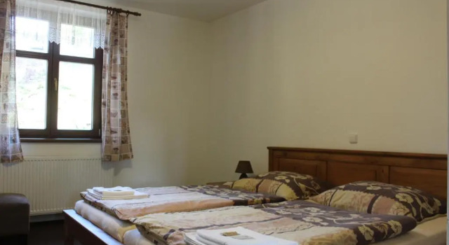 Двухместный номер Standard Relax pension Schonwald