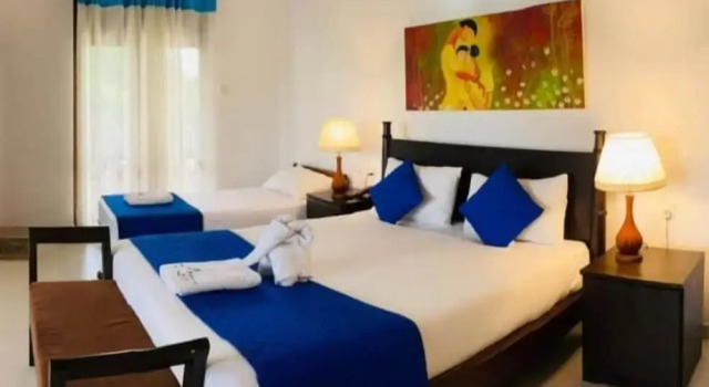 Трёхместный номер Deluxe с балконом Blue Spring Hotel Wadduwa