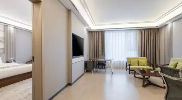 Двухместный люкс Deluxe Yi Xuan Bo Ya Hotel