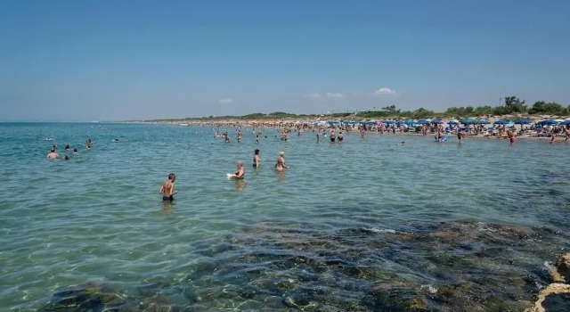 Il Melograno Da Pina