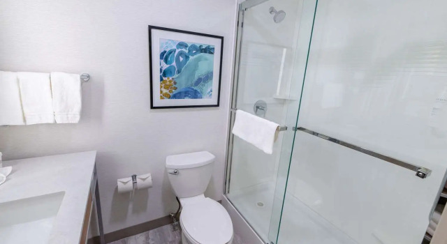 Номер Premium Hilton Garden Inn Lakewood