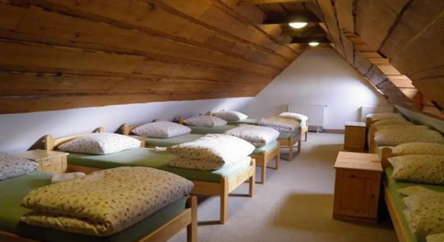Кровать в общем номере Dvůr Olšiny -Hotel and Horse-riding