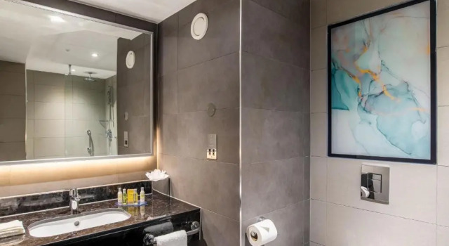 Двухместный номер Hilton Garden Inn London Heathrow Terminal 2 and 3