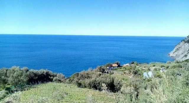 Четырёхместный номер Standard с видом на море Perla del Levante Hostel