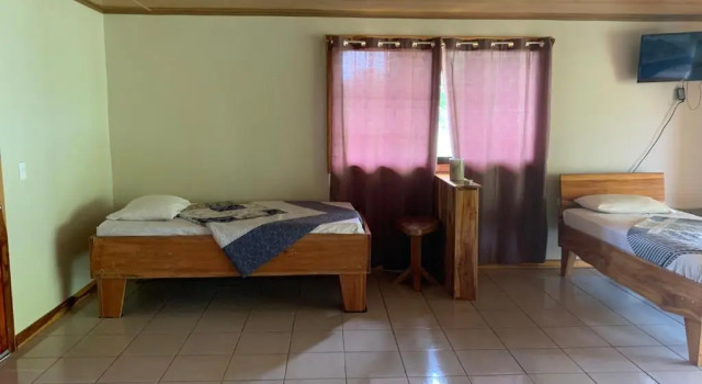 Room-villa With Primary Forest View