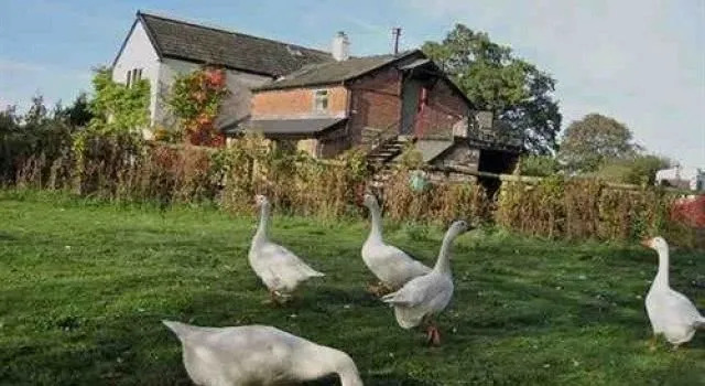 Yarrangall B&B, Rezervați Bed and Breakfast Frodsham Cheshire