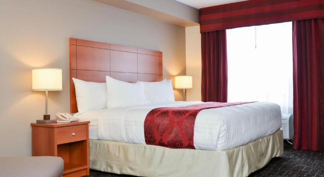 Standard- dobbelt værelse Best Western Thompson Hotel & Suites