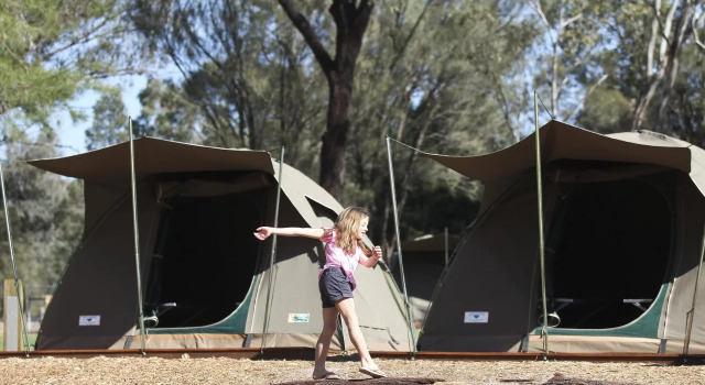 Billabong Camp, Taronga Western Plains Zoo, Book Hotel Dubbo Central West NSW