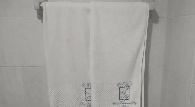 Номер Standard Hotel y Restaurante Ritz de Tabasco
