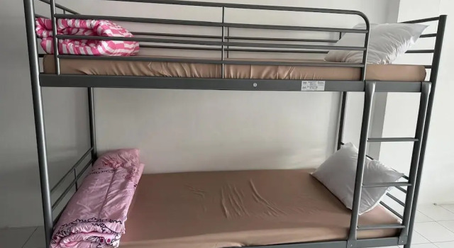 JS786CAFFE&HOSTEL