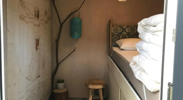 Natuurhuisje Pine & Oak 6 persoons, Réserver Hôtel Hôtels à Salland avec piscine, Piscine