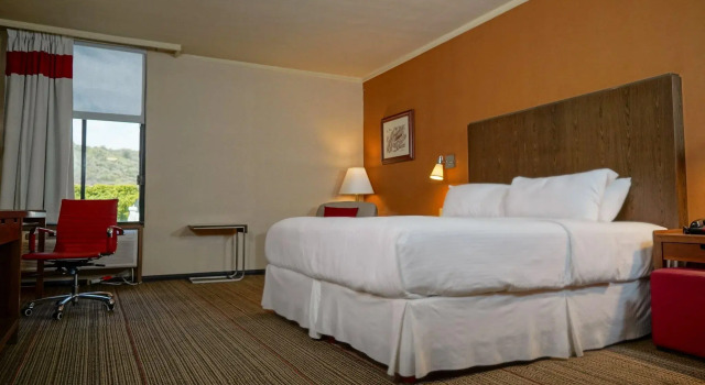 Двухместный номер Standard Four Points by Sheraton Saltillo