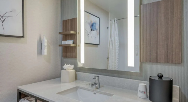 Двухместный номер Premium с видом на горы Hilton Garden Inn Clarksburg