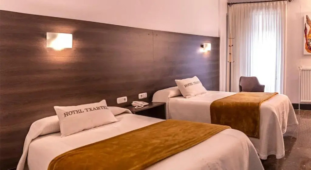 Двухместный номер Standard Hotel Txartel