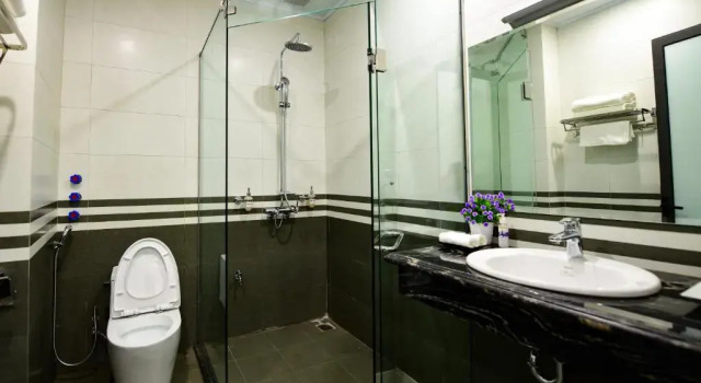 Трёхместный номер Standard с красивым видом из окна Airport Classic Hotel & Travel