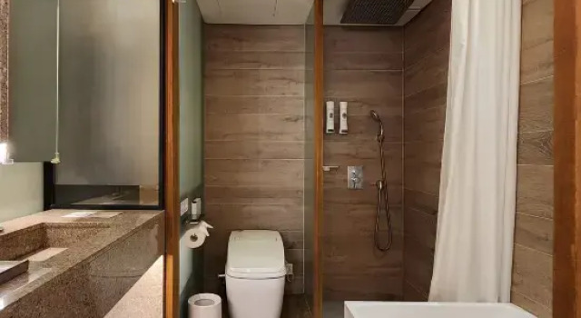 Двухместный номер Executive Sotetsu Hotels The Splaisir Seoul Myeongdong
