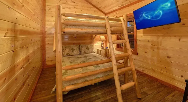 Splash Mountain Lodge Apartment 4