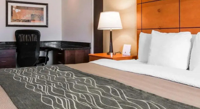 Номер Executive Comfort Inn Metro Airport