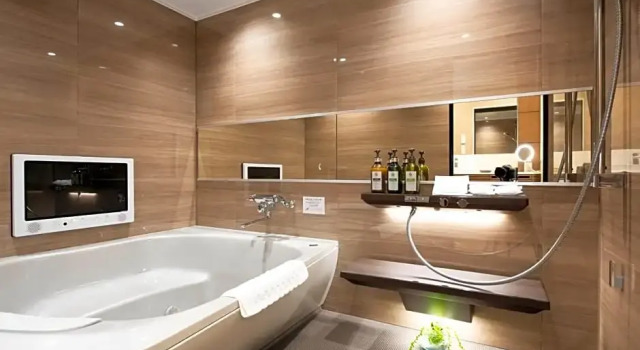 Номер Deluxe Hotel Pasela Living Shinjuku
