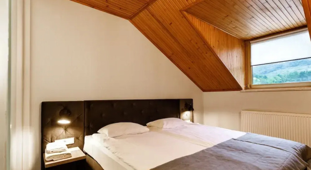 Номер Standard Отель Voevodyno Resort