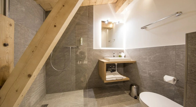 Двухместный номер Standard Hotel Grimsel Passhöhe