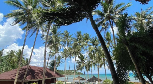 Люкс Standard Kaylaa Beach Resort And Blackeye Brewing