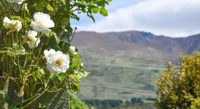 Коттедж Lismore Views