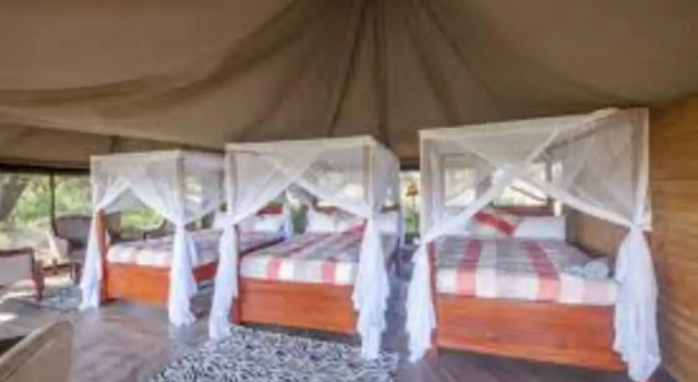 Тент Acacia Seronera Luxury Camp