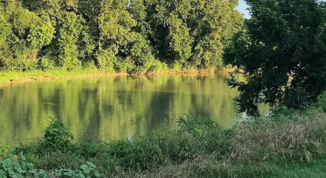 Beautiful Scenery, Towering Pines, Rolling Hills, and the Colorado River, Réserver Hôtel Bastrop 