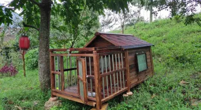 Guangzhou Huayiju Hot Spring Boutique B&B, Rezervasyon Bed and Breakfast Guangzhou Guangzhou