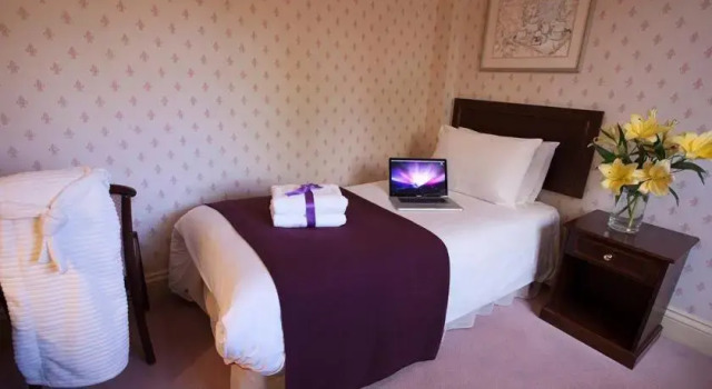 Одноместный номер Standard The Jacobean Hotel