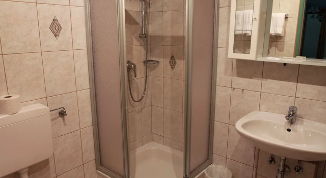 Одноместный номер Standard Hotel Alpenhaus Evianquelle