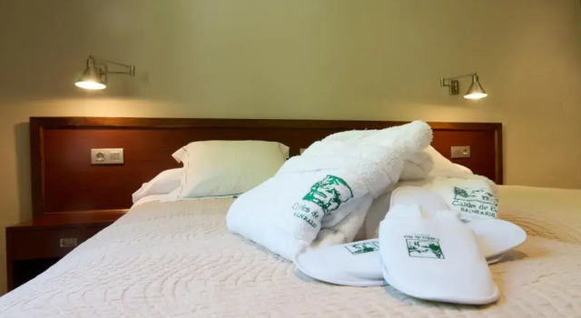 Номер Economy Hotel Manantial- Balneari Caldes de Boi