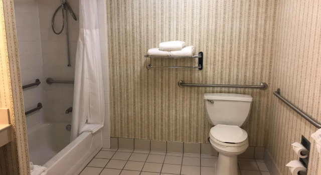 Четырёхместный номер Standard Hilton Garden Inn Addison
