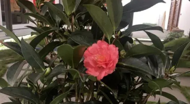 Ninghai  Qiantong Zhu Li Ya She Homestay guesthouse, Prenota Hotel Hotel a Ningbo con parcheggio, Parcheggio