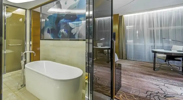 Номер Superior с видом на город Sofitel Nanjing Galaxy Suning
