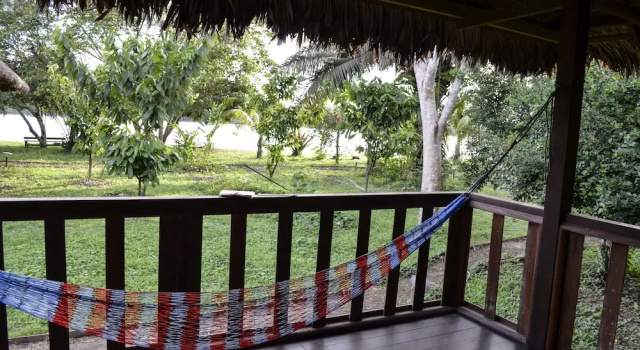 Номер Standard Green Diamond Amazon Lodge