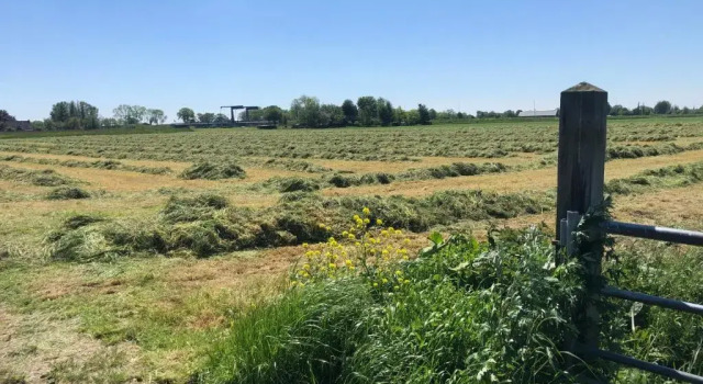 Апартаменты Hestar Husid, het luxe paardenhuis