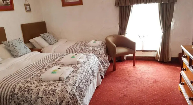 Номер Standard Black Dog Inn
