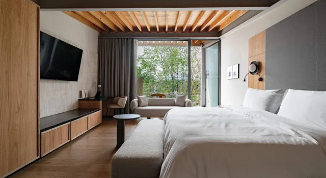 Люкс Luxury Colima 71 - Casa de Arte Hotel