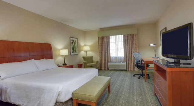 Двухместный номер Standard Hilton Garden Inn at PGA Village/Port St. Lucie