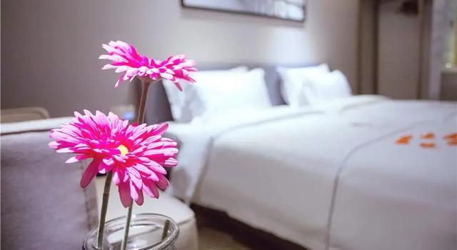 Двухместный номер Deluxe Insail Hotel Shenzhen East Railway Station Buji Subway Station